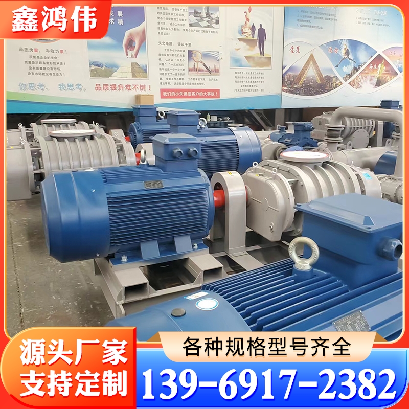 气体增压风机 沼气真空泵 零泄露罗茨风机 零泄露气体增压泵