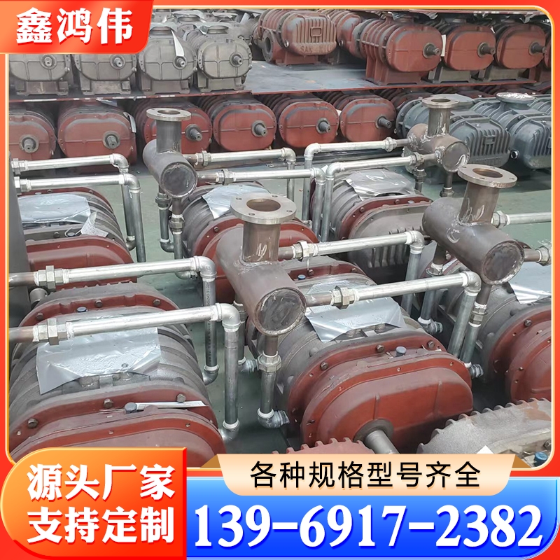 罗茨真空泵 直连罗茨泵 变频防爆罗茨真空泵 零泄露罗茨鼓风机