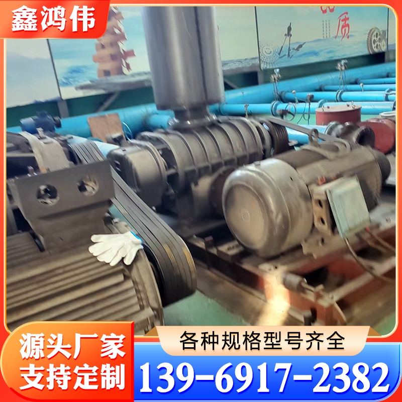 维修罗茨风机 维修螺杆鼓风机 维修罗茨泵 维修空气悬浮鼓风机