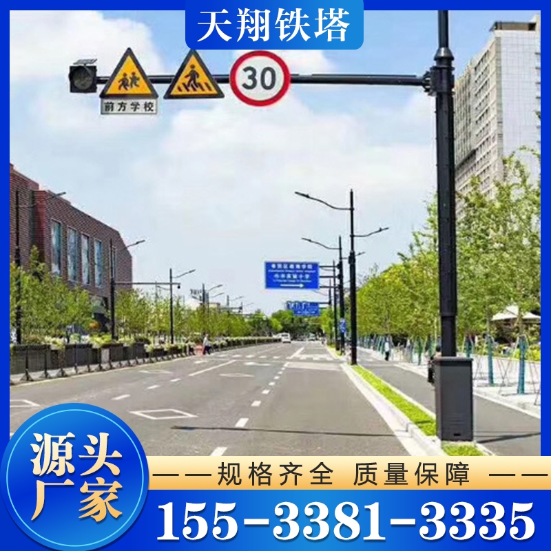 监控杆 行业经验丰富 质量保障