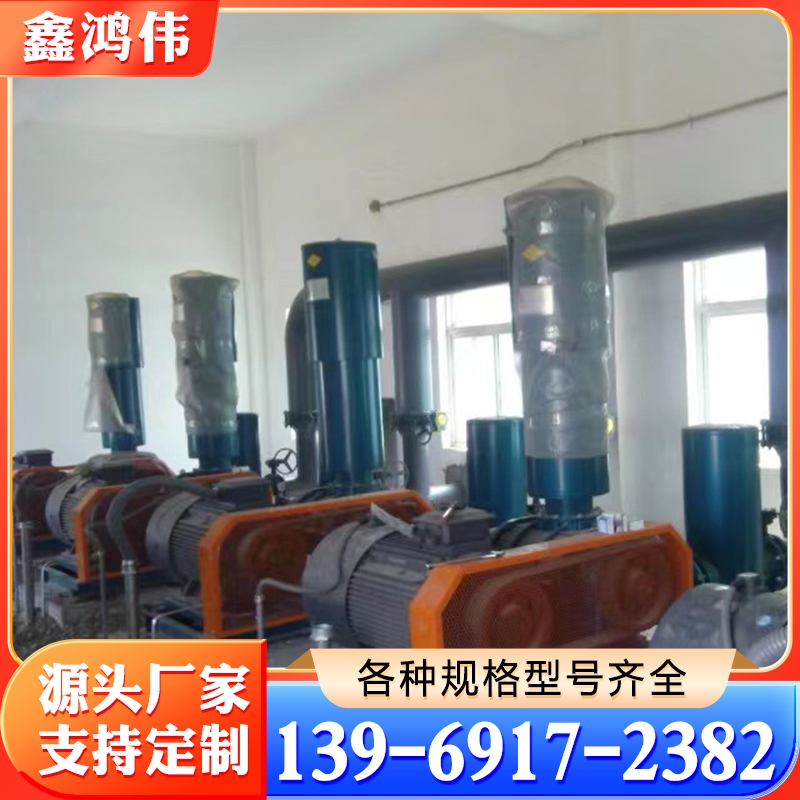 罗茨鼓风机 废水曝气风机 维修进口罗茨风机 百事德罗茨风机替换