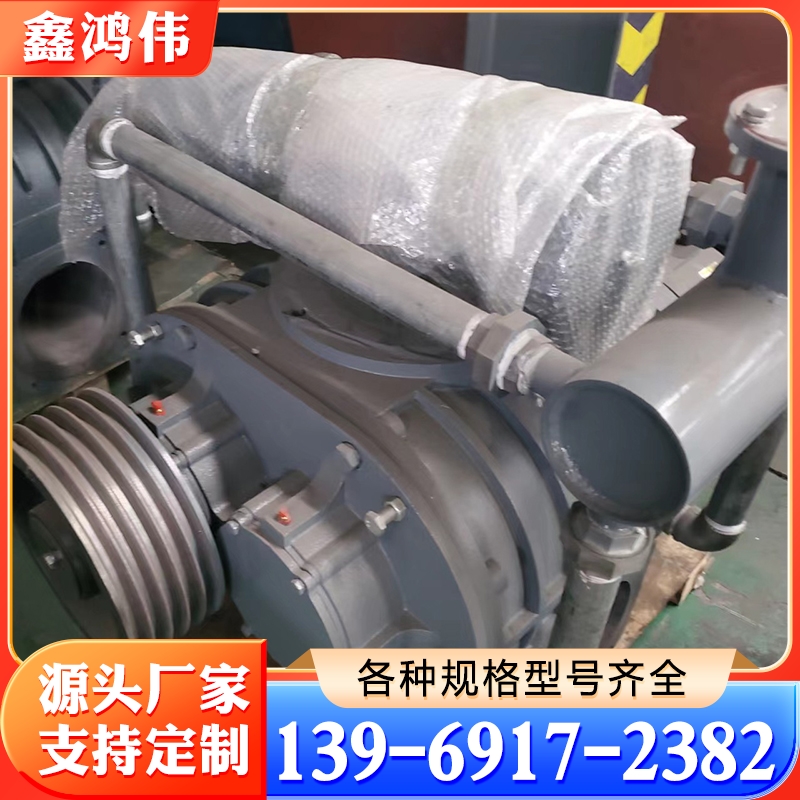 罗茨真空泵 维修日本泵 维修韩国泵 250罗茨泵