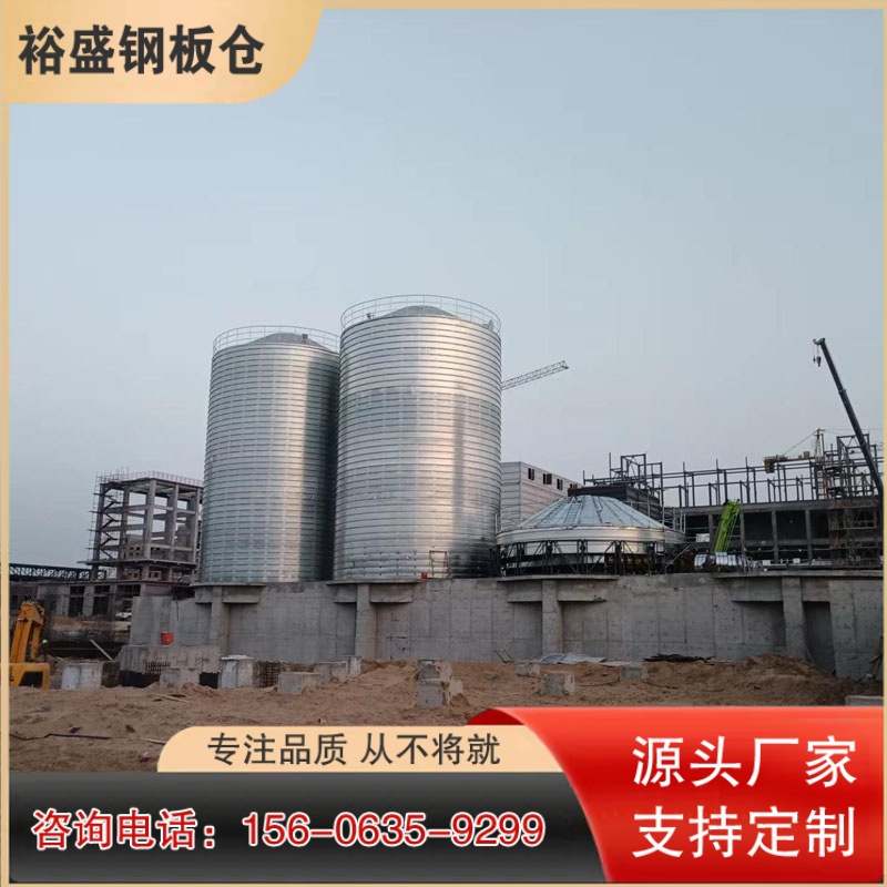 大型储罐 粉煤灰储存罐