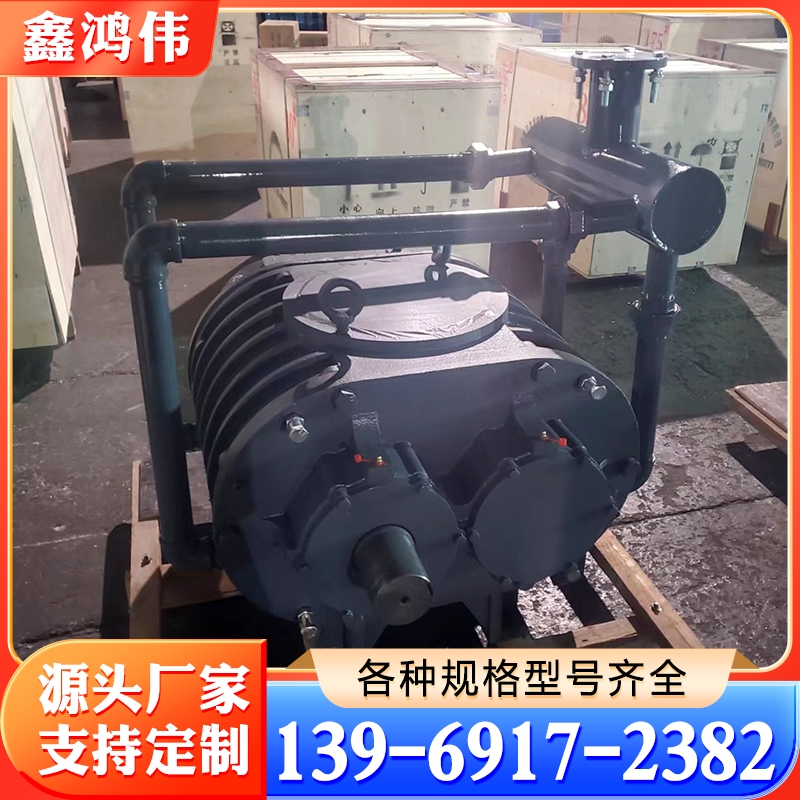 罗茨真空泵 吸砂机罗茨泵 日本泵 安耐特BH250CV 韩国罗茨泵ST250BF