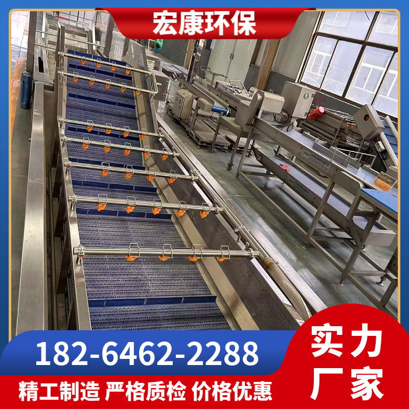 无花果气泡清洗机 菠菜茄子大型洗菜机 千禧果葡萄洗果机