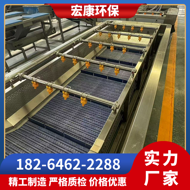 杨梅蓝莓气泡清洗机 大型蔬菜药材清洗线 去农残留果蔬鼓泡清洗设备