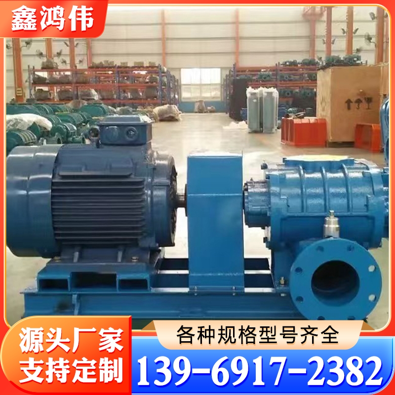 直连罗茨风机 洗煤风机 鲁氏鼓风机 罗茨鼓风机