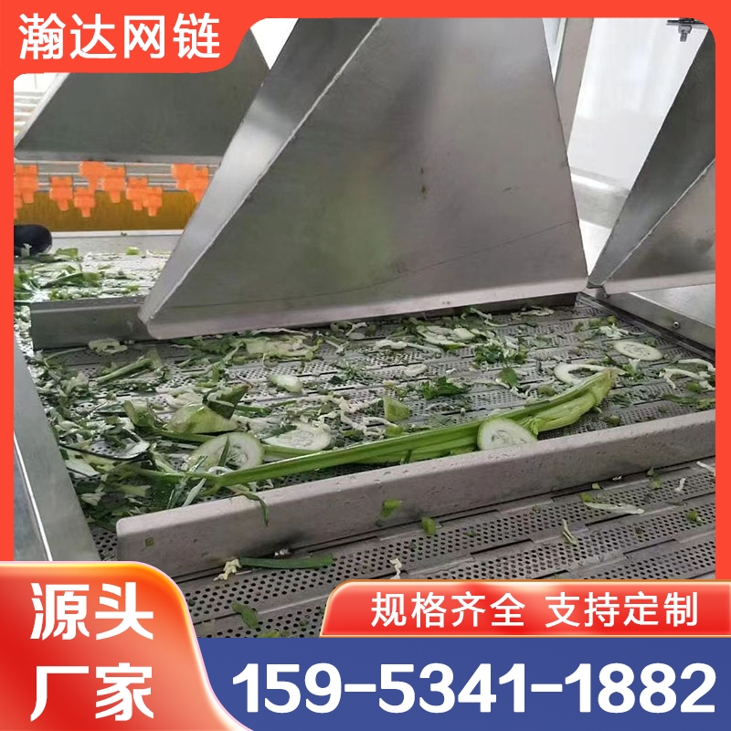 链板清洗粉干机 瀚达