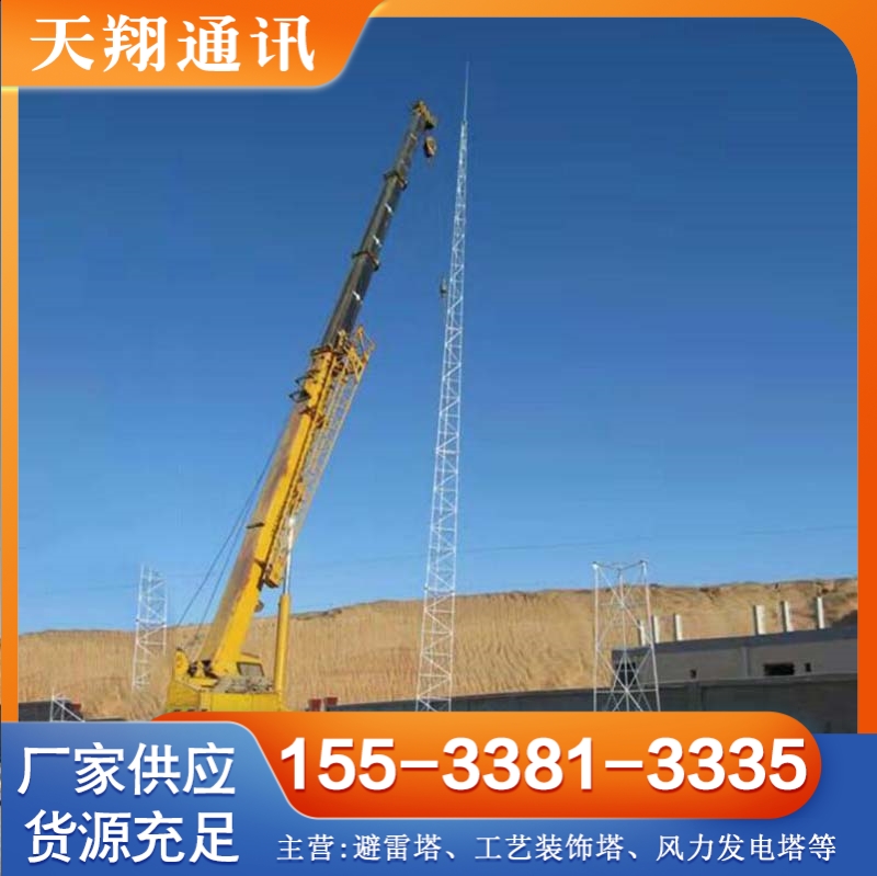 避雷塔 选天翔 现货供应货源充足