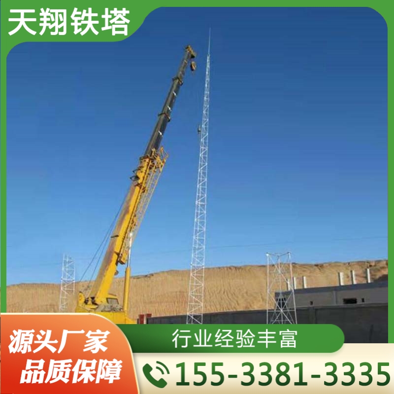 防雷塔 避雷塔 严格执行生产标准