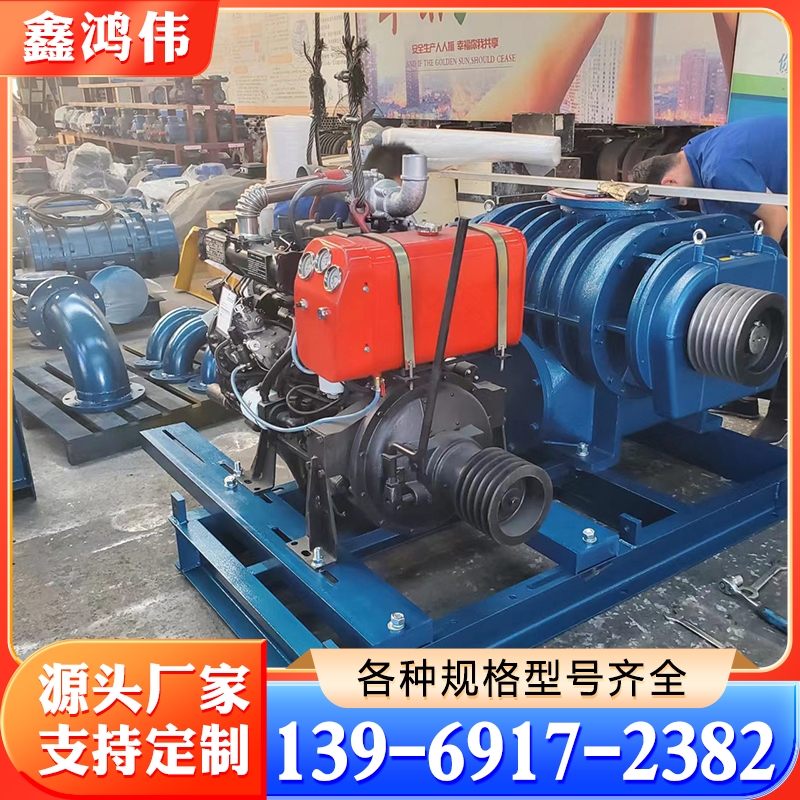 螺杆鼓风机 柴油机罗茨风机 高转速罗茨风机 进口罗茨鼓风机