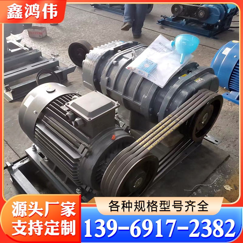 鲁式鼓风机 鲁氏真空泵 低噪音罗茨风机 负压吸料风机 中央供料系统 罗茨真空泵