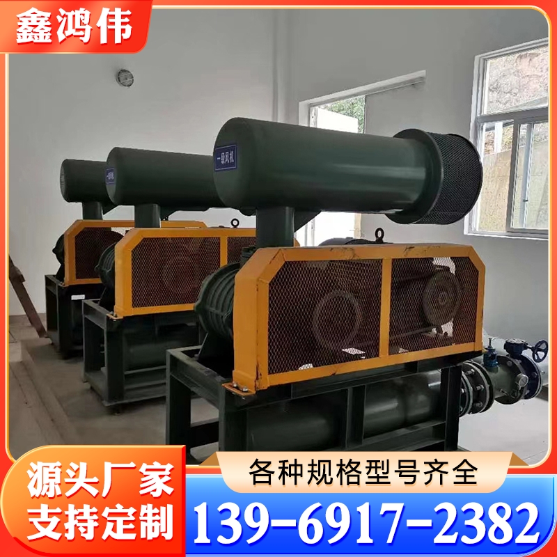 维修逆流罗茨泵 维修百事德机械 维修流体鼓风机 维修ANLET罗茨泵